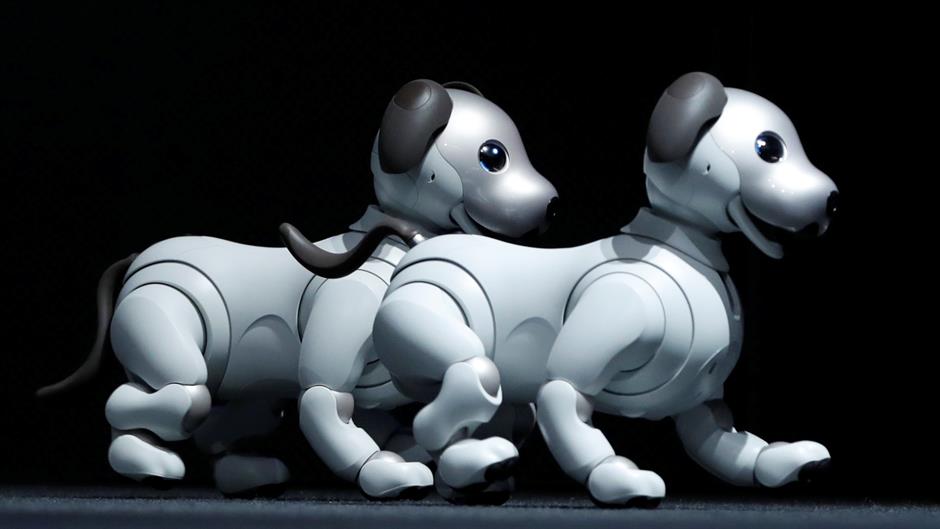 2017-11-01T024100Z_737826228_RC17004494A0_RTRMADP_3_SONY-ROBOT