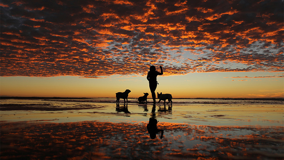 2017-11-09T031937Z_1215431808_RC1CCDB0E0E0_RTRMADP_3_USA-DAILYLIFE 11