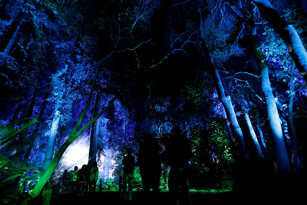 2017-11-22T080942Z_1569892775_RC1A57E24480_RTRMADP_3_CHRISTMAS-SEASON-LIGHT-INSTALLATION