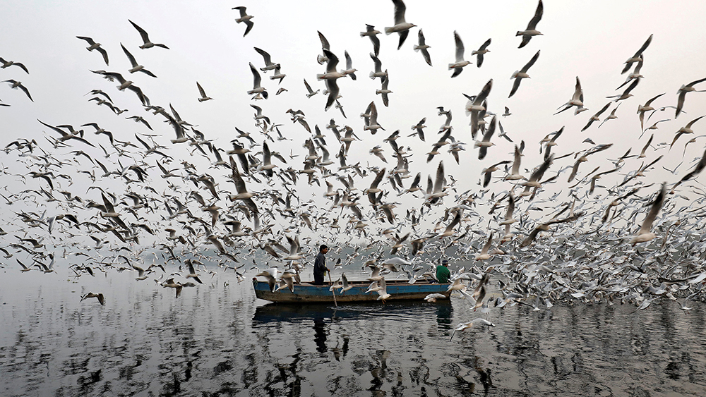 2017-11-27T141019Z_1989965411_RC1762B852D0_RTRMADP_3_GLOBAL-POY