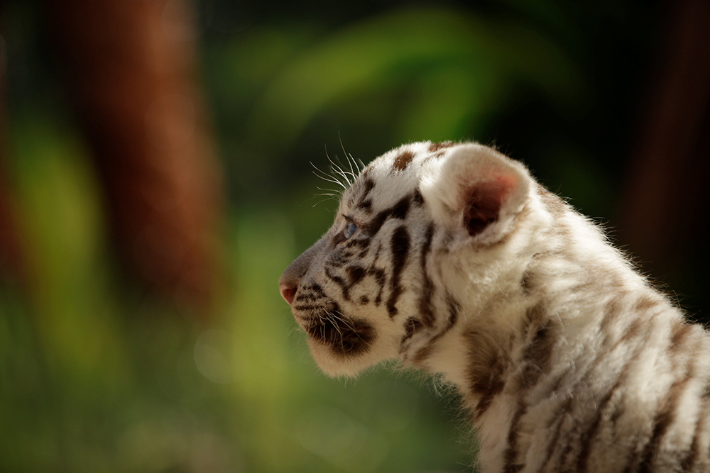 REUTERS/Jose Luis Gonzalez