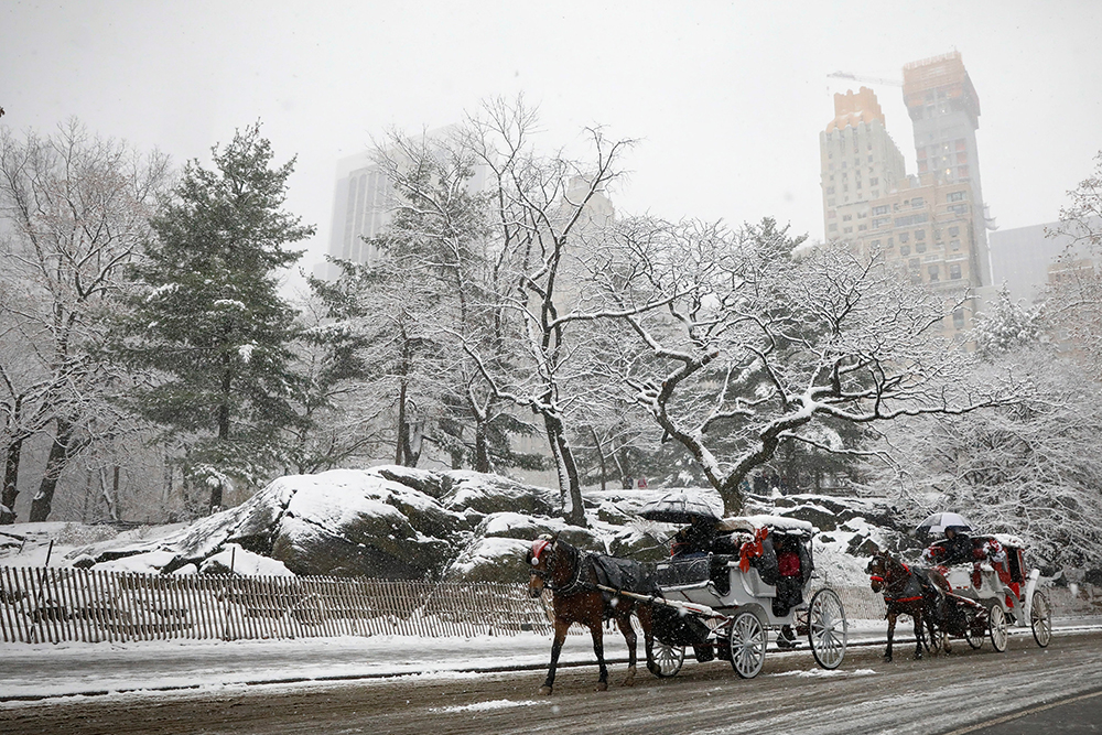 Reuters/Brendan McDermid