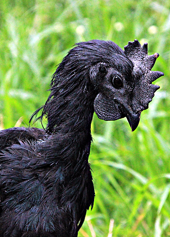 20170221_2_21975420_19123115