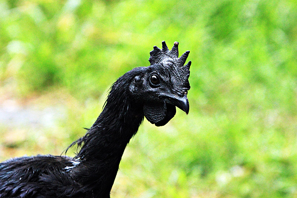 20170221_2_21975420_19123116