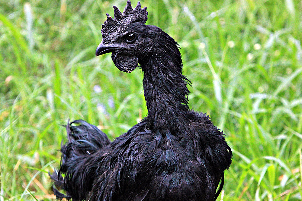 20170221_2_21975420_19123117