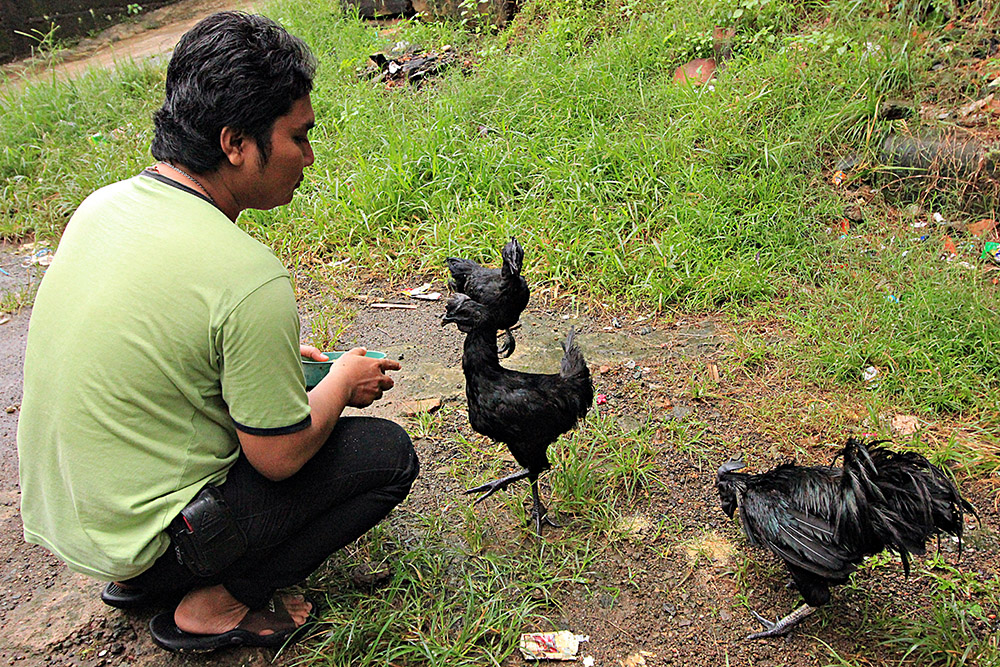 ANADOLIJA/Adem Şalvarcıoğlu