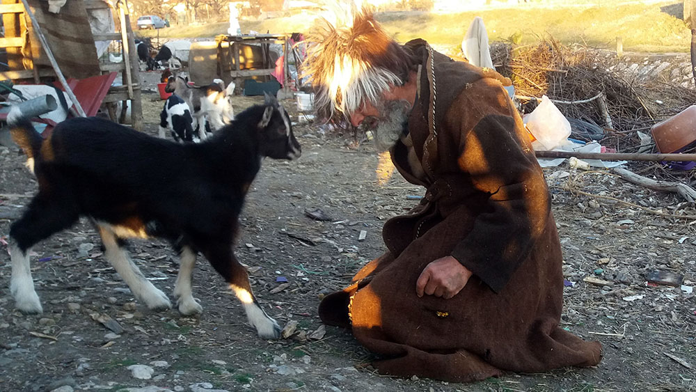 20170312_2_22352551_19775497