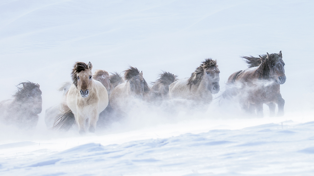 ANADOLIJA/Lijun Wang