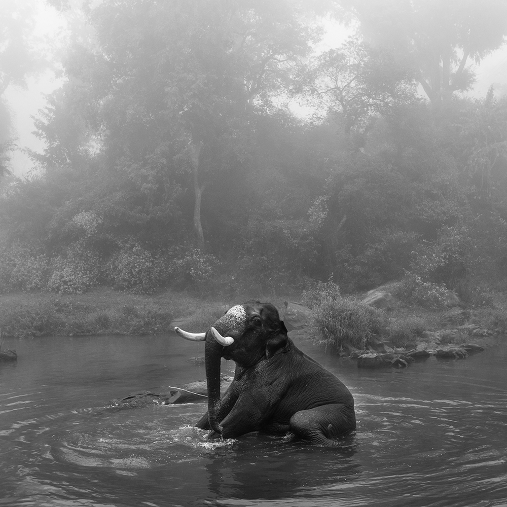ANADOLIJA/Senthil Kumaran Rajendran