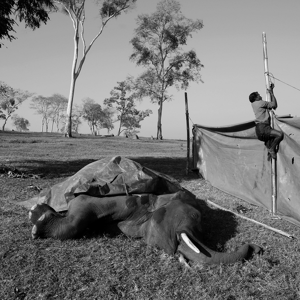 ANADOLIJA/Senthil Kumaran Rajendran