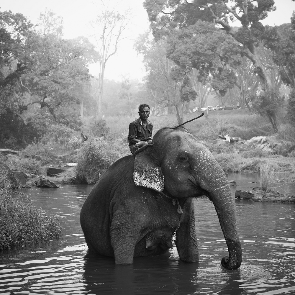 ANADOLIJA/Senthil Kumaran Rajendran
