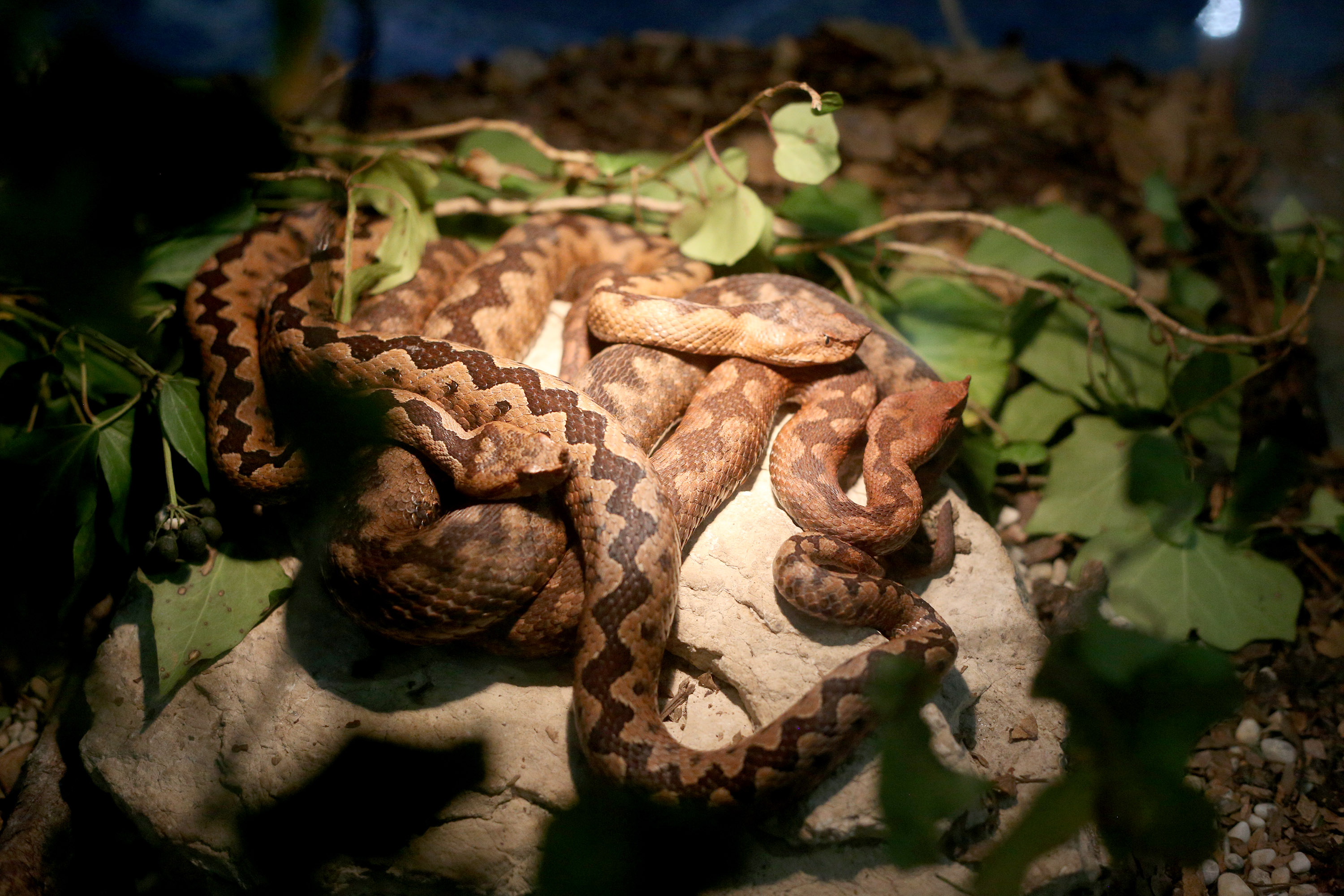 20170403_2_22849126_20629485