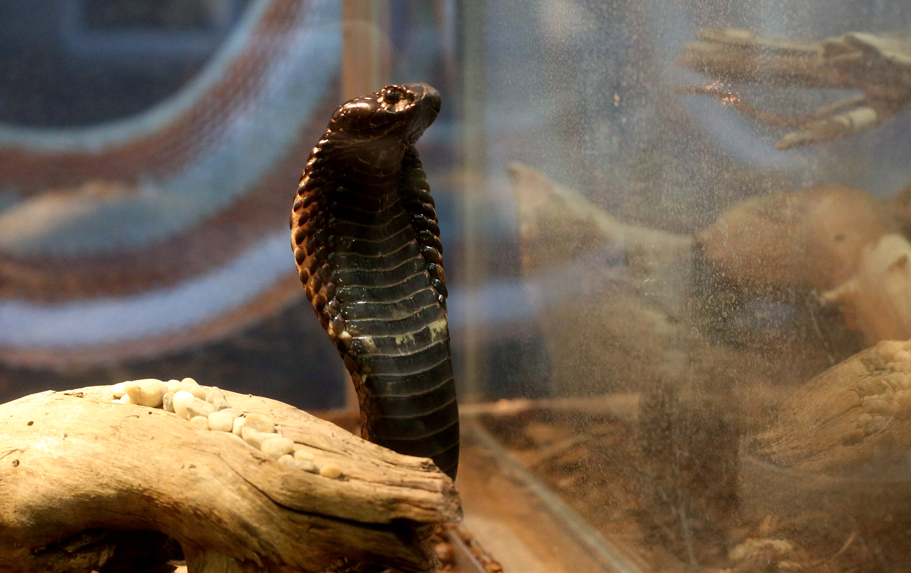 20170403_2_22849126_20629486