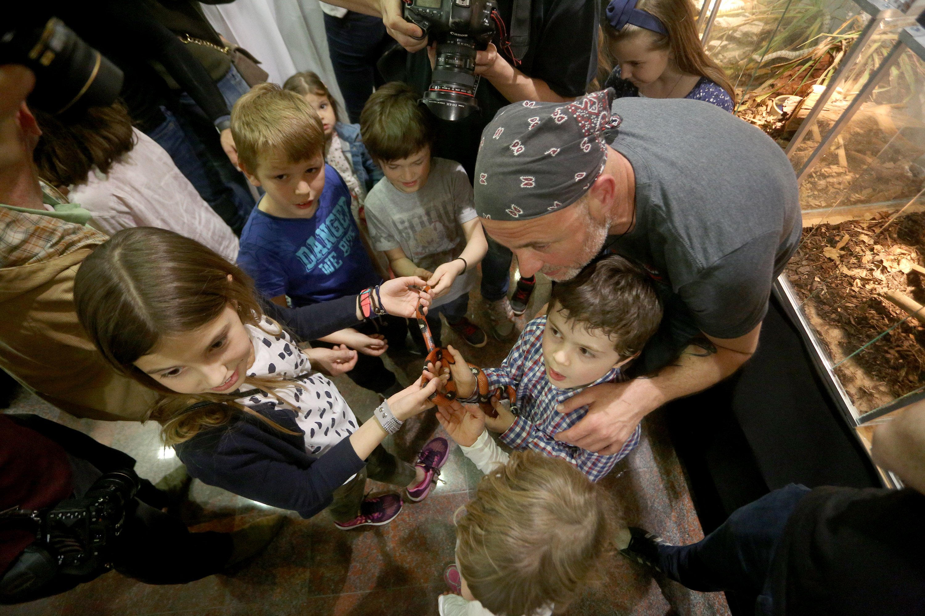 Anadolija/Stipe Majić