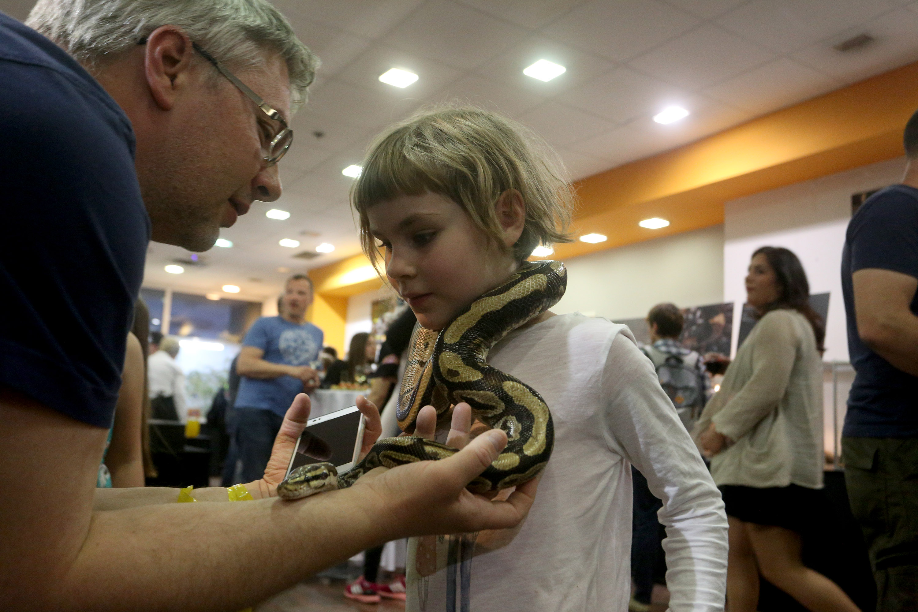 Anadolija/Stipe Majić
