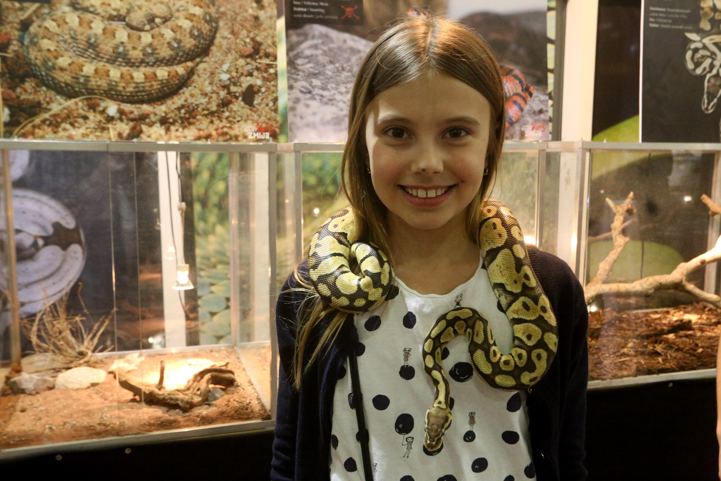 Anadolija/Stipe Majić