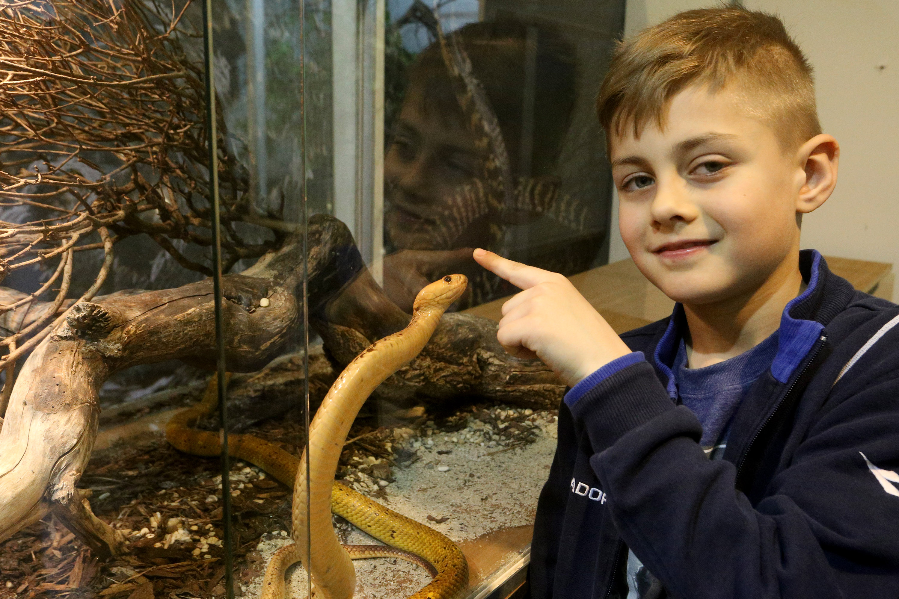 Anadolija/Stipe Majić