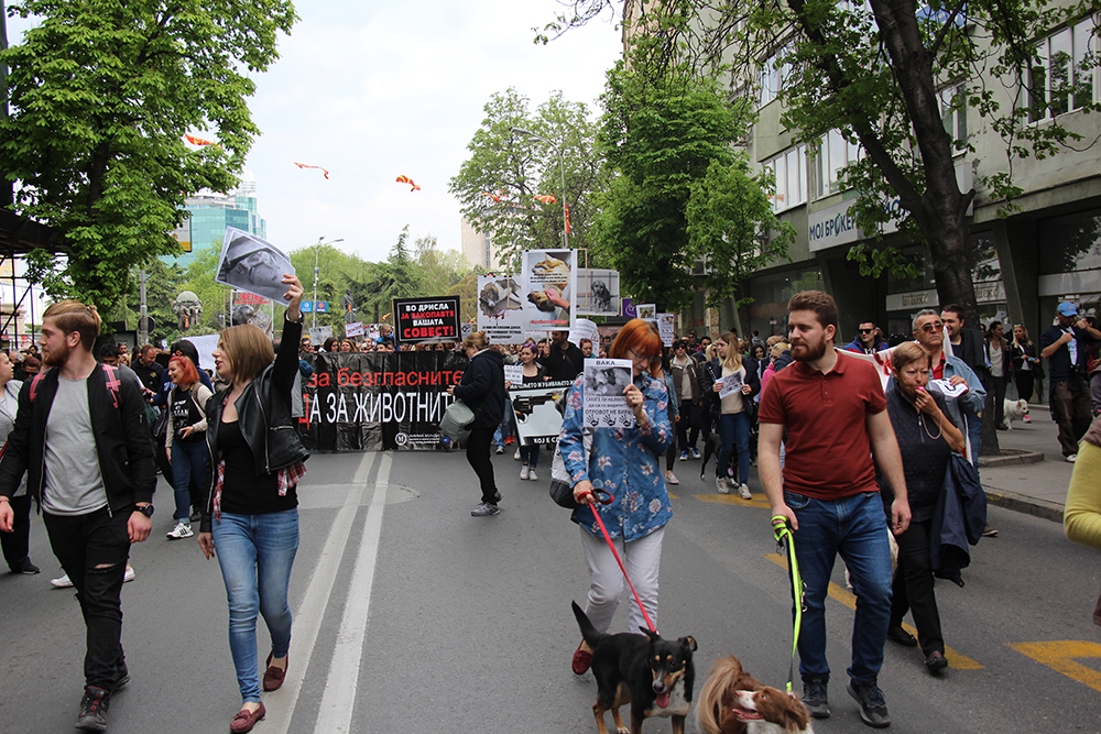 20170409_2_22975087_20853432