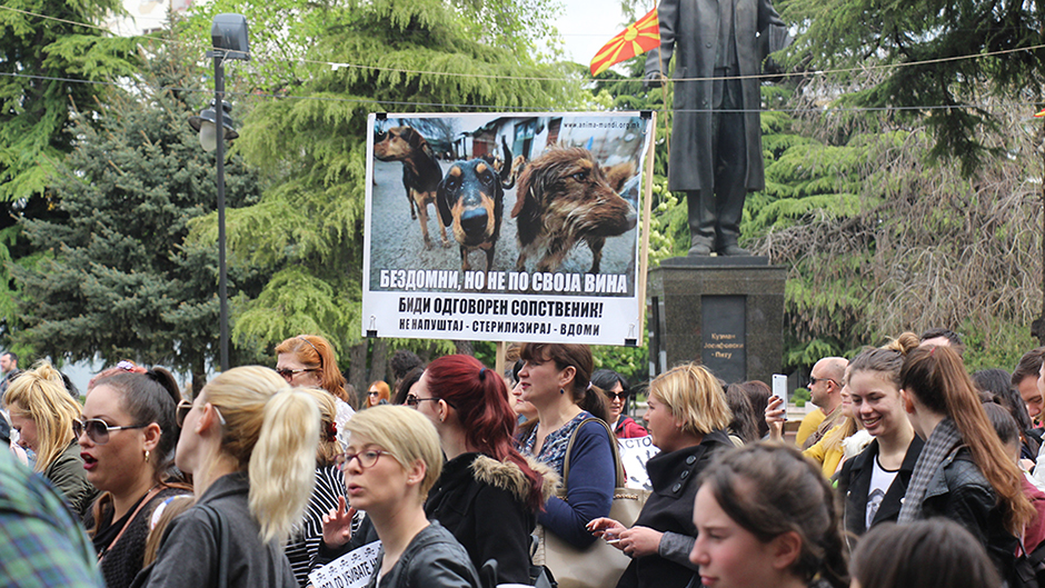 20170409_2_22975087_20853433 11