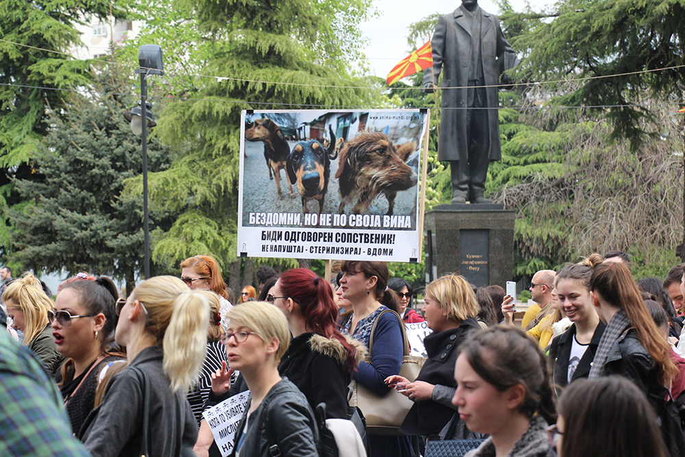 ANADOLIJA/Ivana Ramadanova