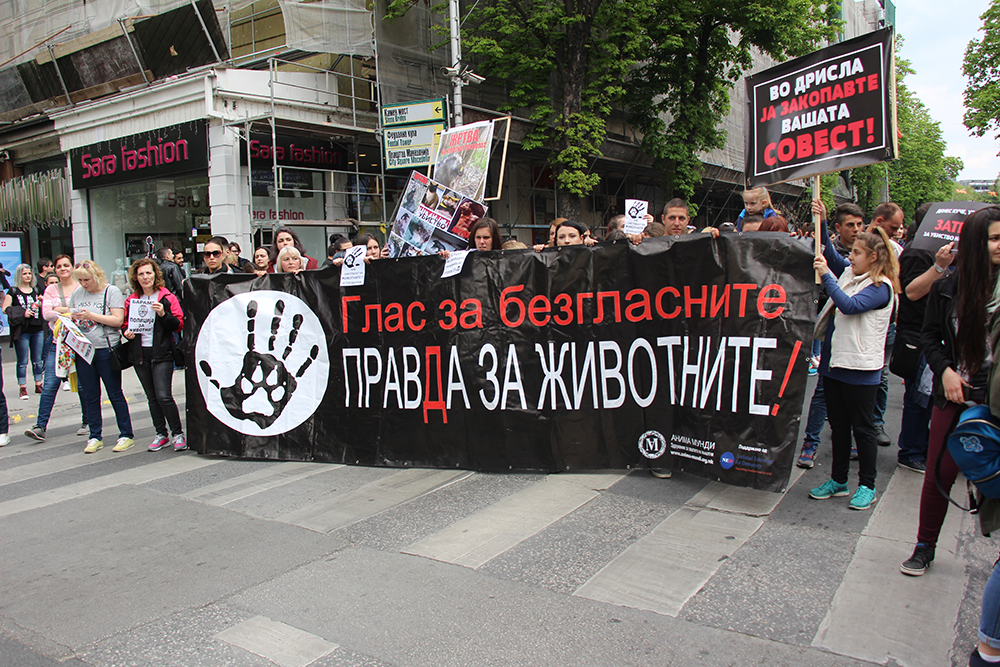 ANADOLIJA/Ivana Ramadanova