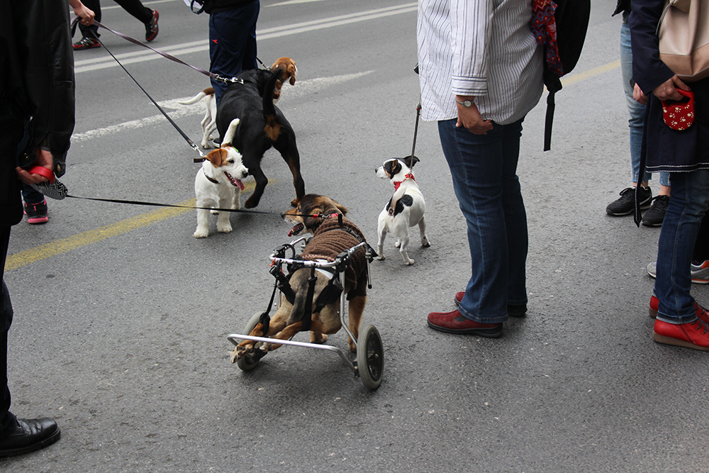 20170409_2_22975087_20853438