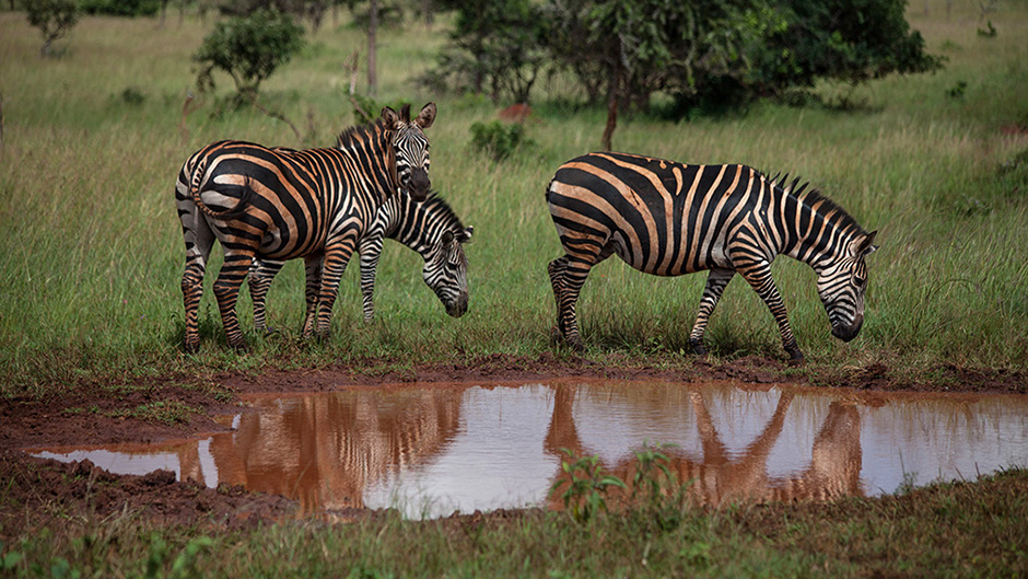 ANADOLIJA/Jacques Nkinzingabo
