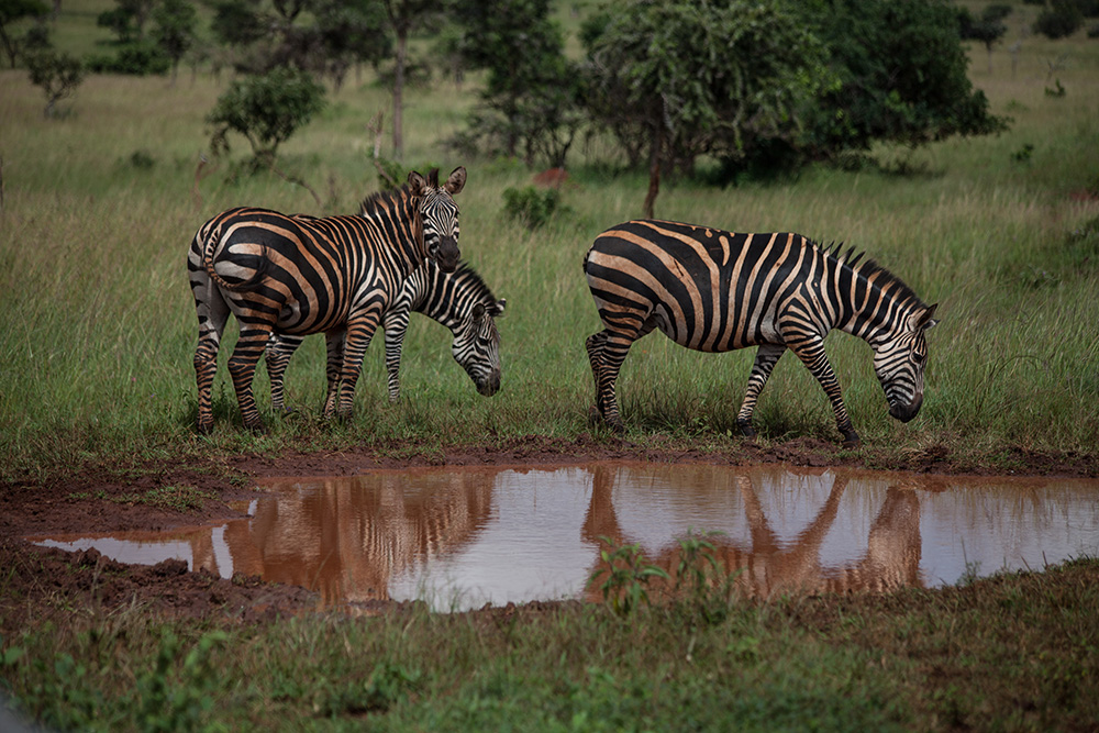 20170515_2_23678697_22110207