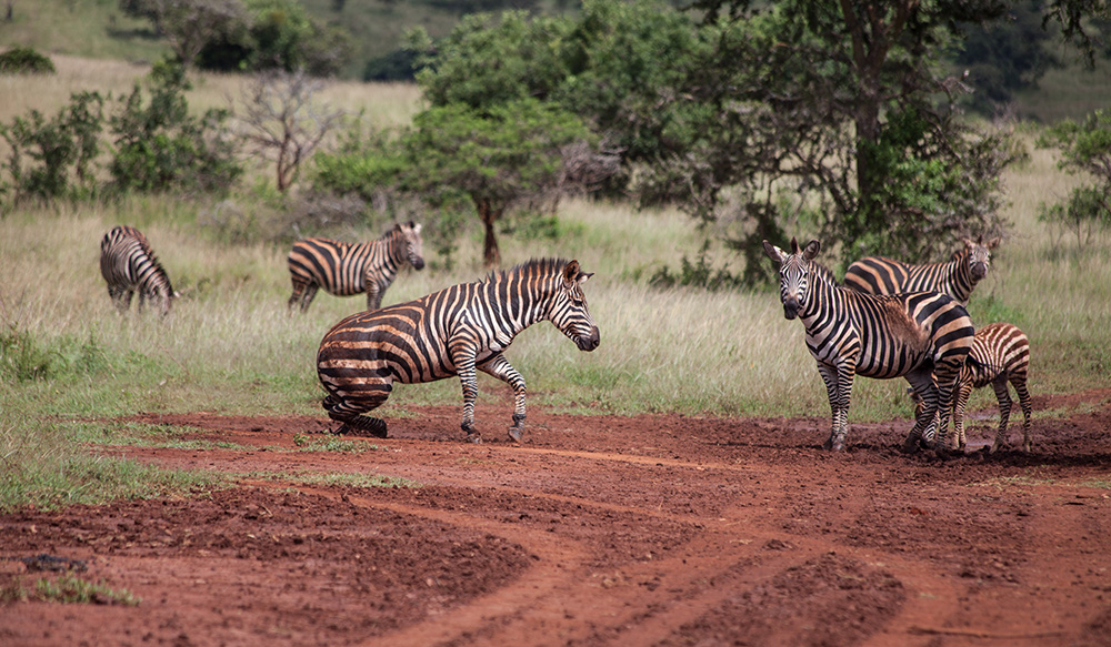 ANADOLIJA/Jacques Nkinzingabo