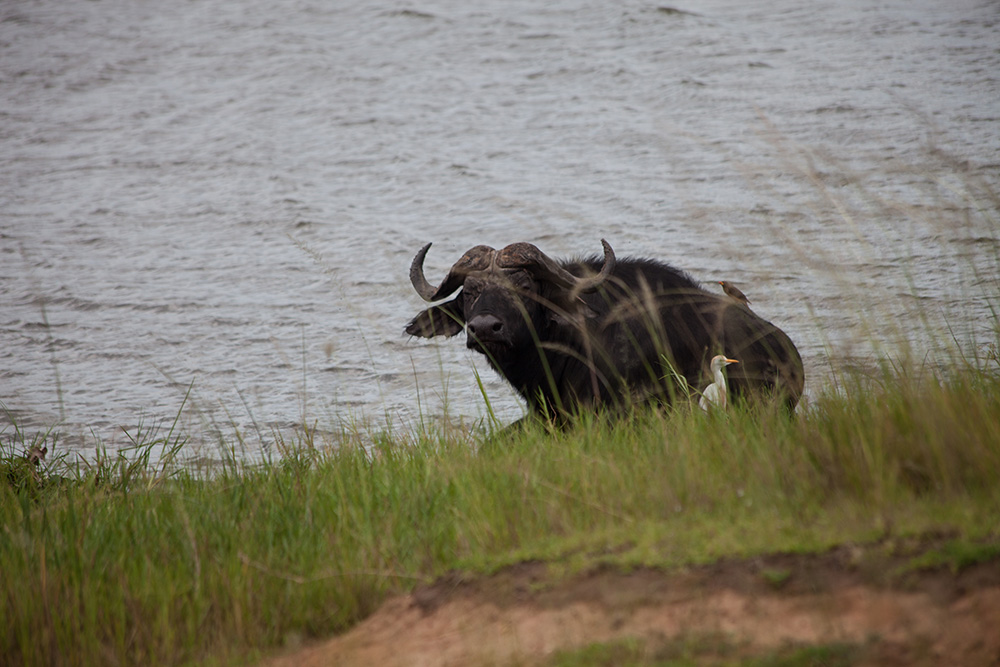 20170515_2_23678697_22110226