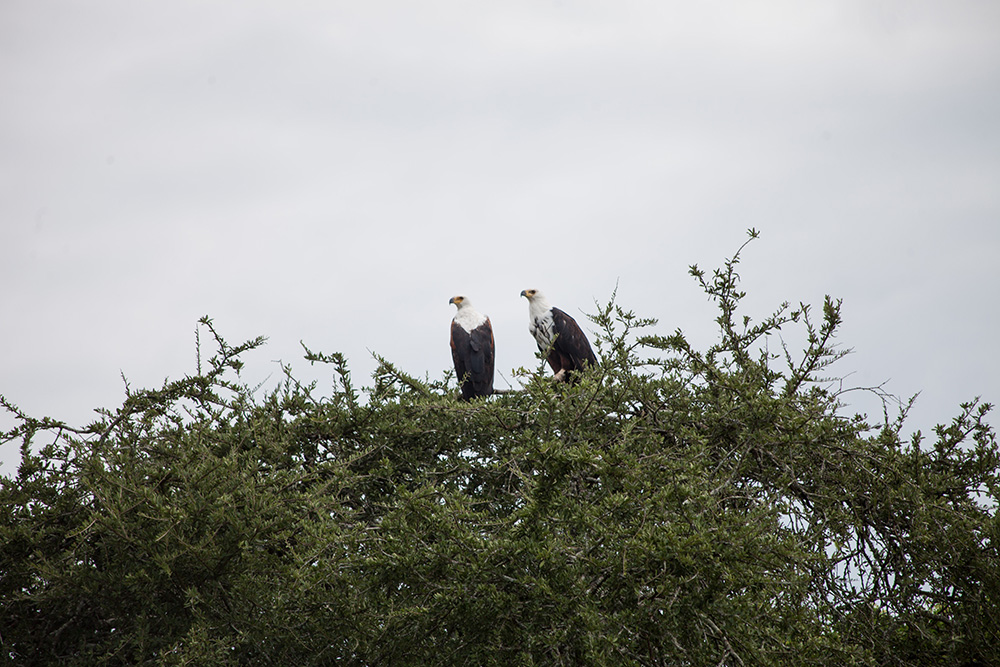 ANADOLIJA/Jacques Nkinzingabo