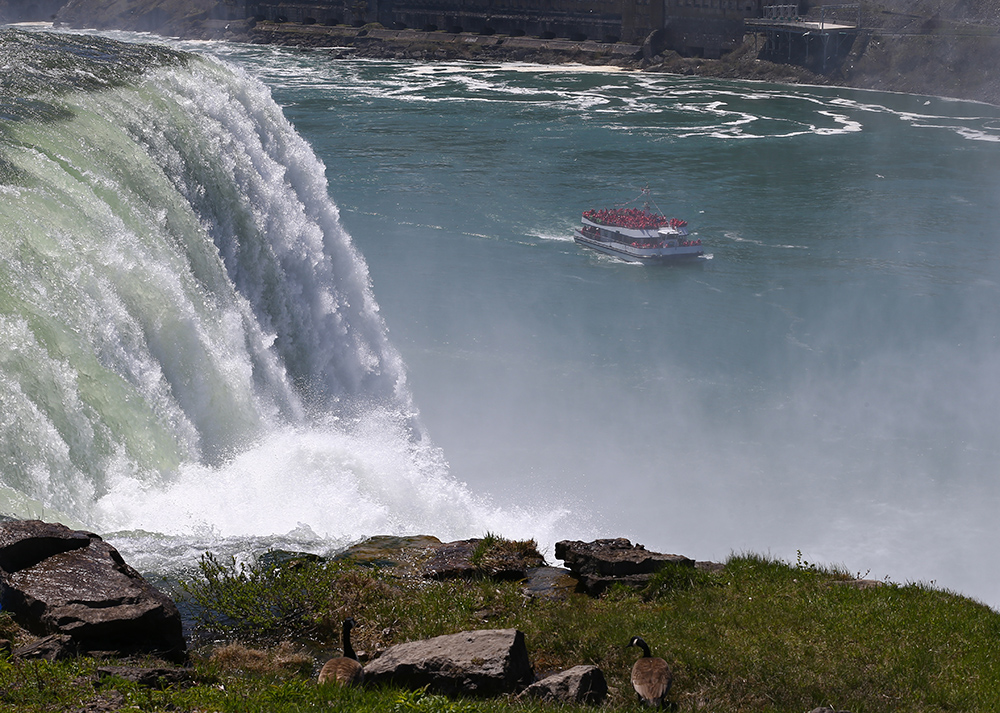 ANADOLIJA/Volkan Furuncu