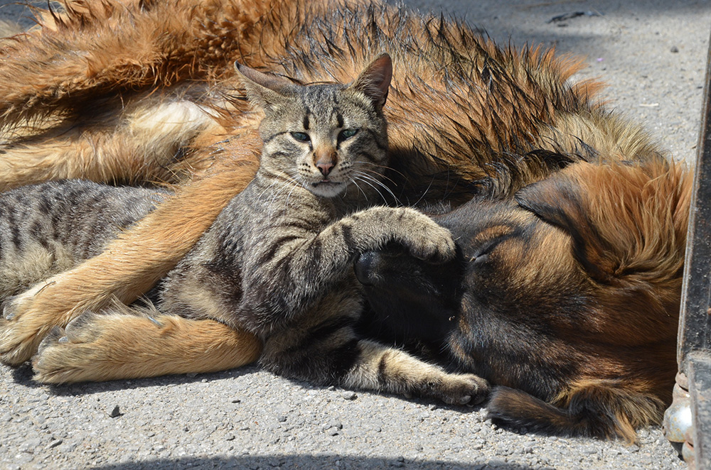 20170527_2_23918240_22580127(1)