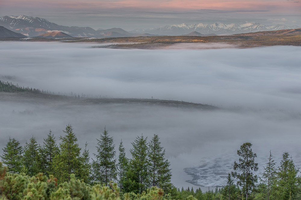 ANADOLIJA/Sergey Anisimov