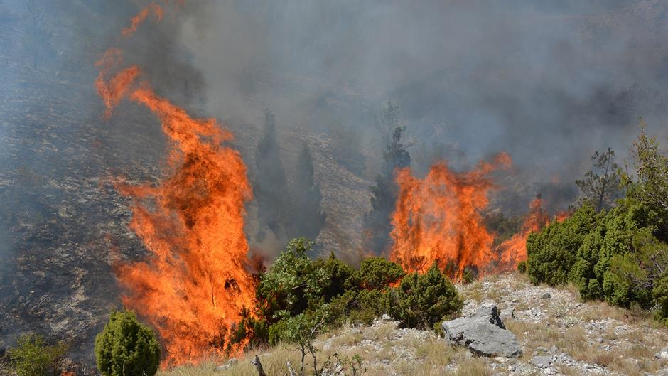 20170715_2_24756808_24107404