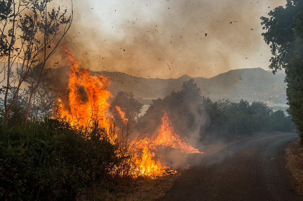 20170717_2_24803267_24227897