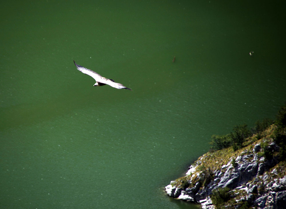 ANADOLIJA/Medin Halilović