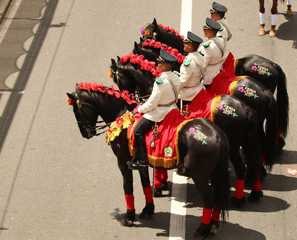 ANADOLIJA/Lokman İlhan