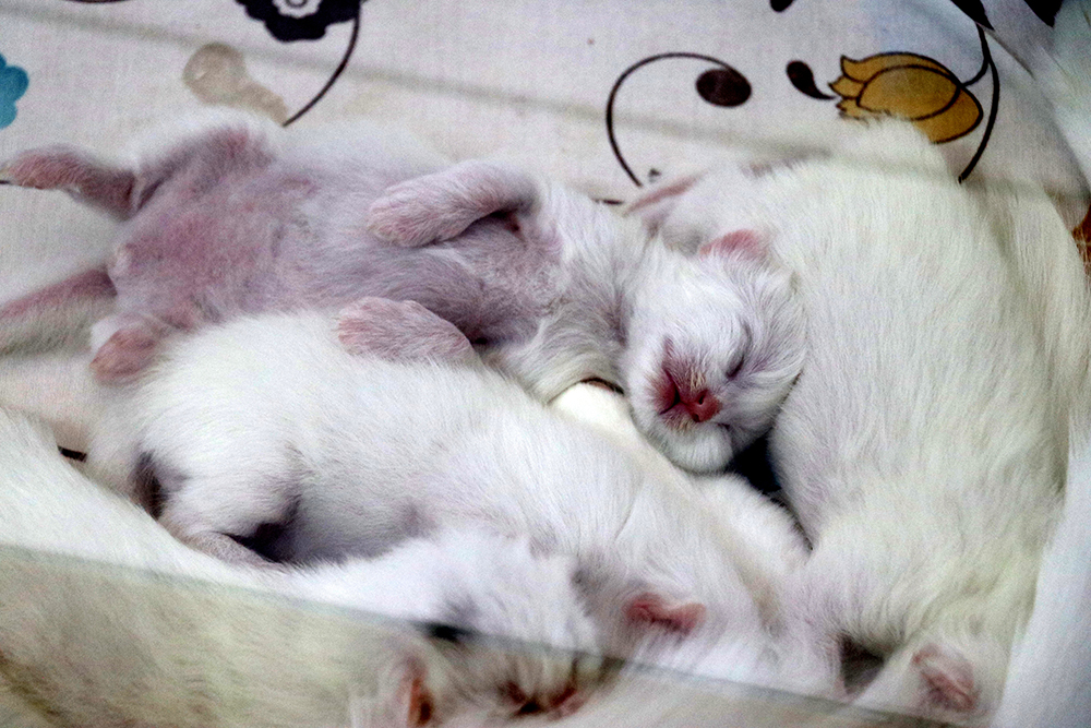 20170815_2_25254424_24961167