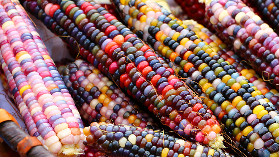 20170921_2_25864636_26078051 1