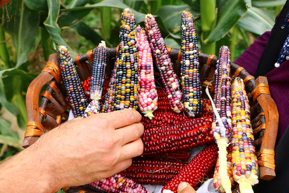 20170921_2_25864636_26078053