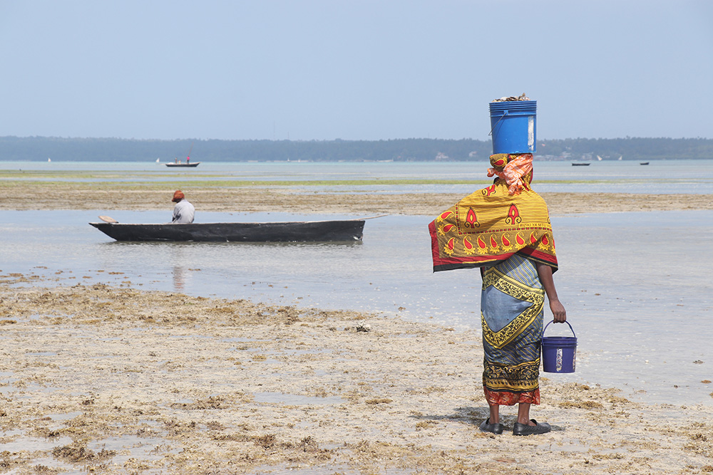 ANADOLIJA/Kaan Bozdoğan
