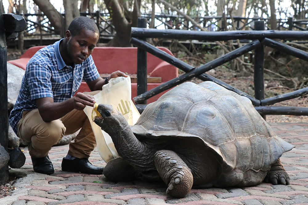 ANADOLIJA/Kaan Bozdoğan