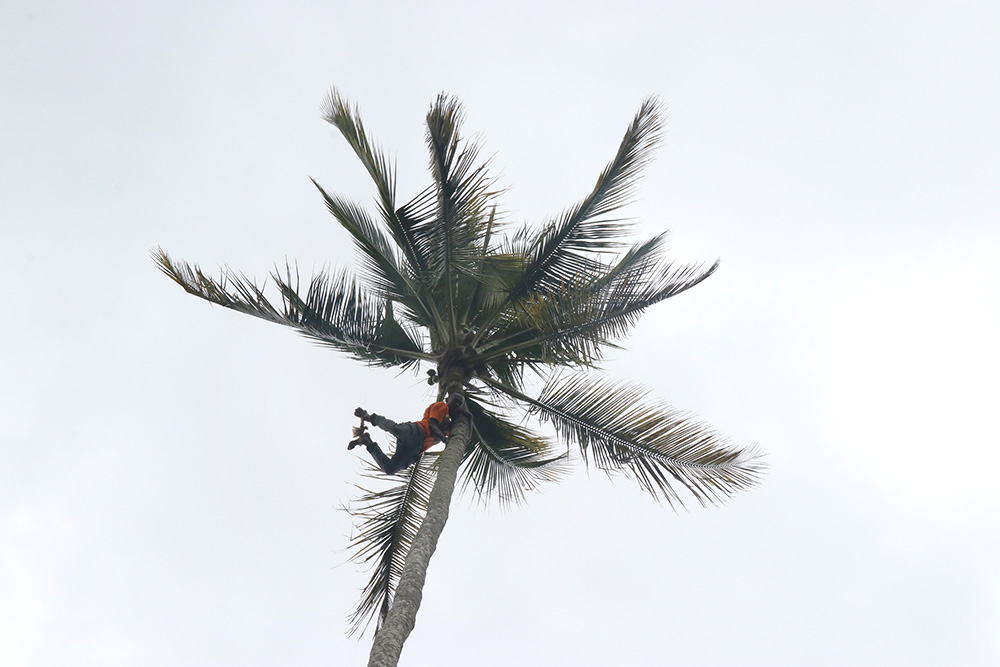 ANADOLIJA/Kaan Bozdoğan