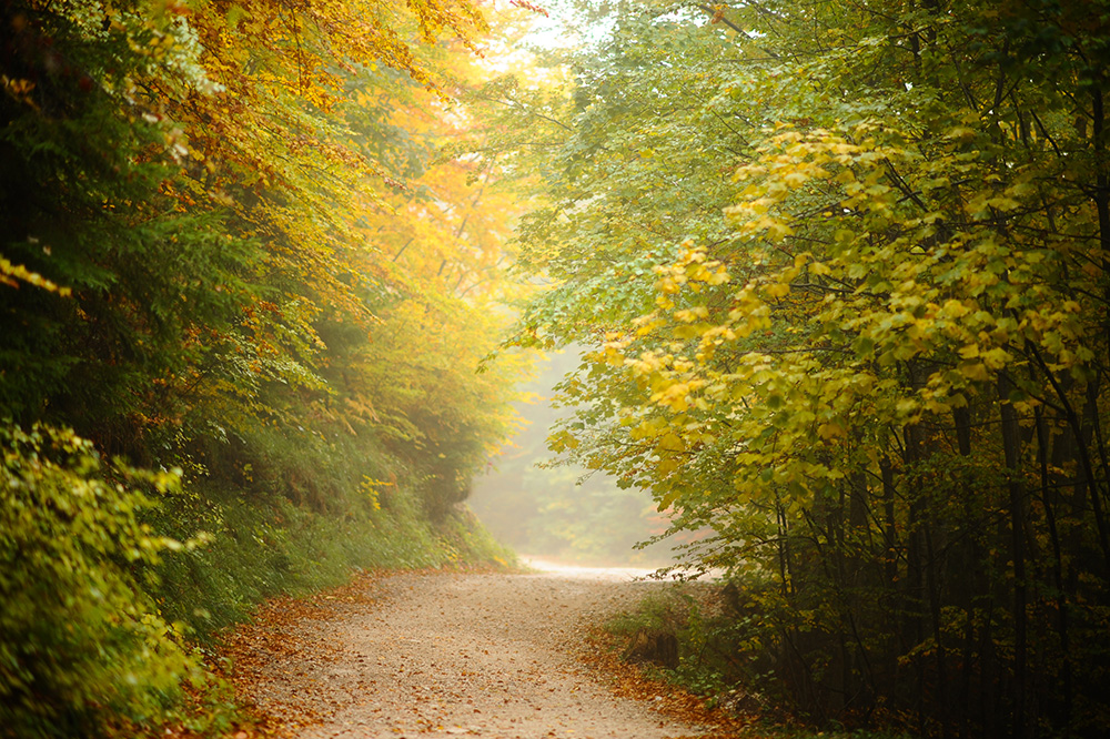 ANADOLIJA/Mustafa Öztürk