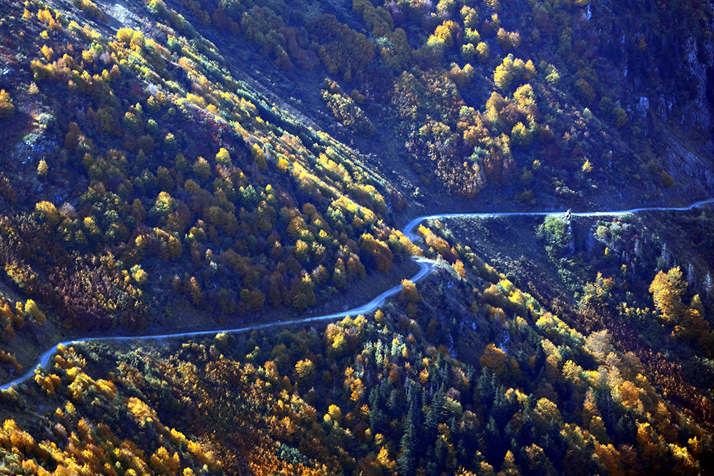 ANADOLIJA/Abdulkadir Nişancı