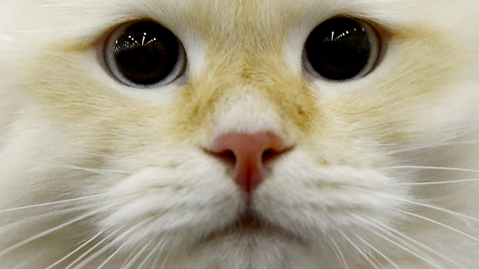 20171203_2_27251393_28417837 1