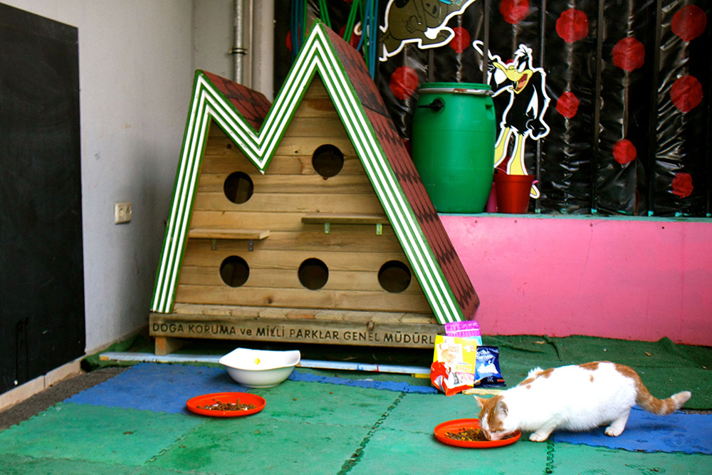 20171212_2_27458930_28759569