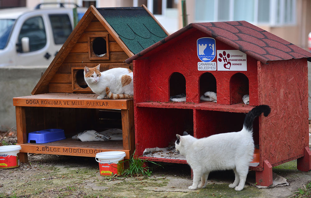 20171212_2_27458973_28759615