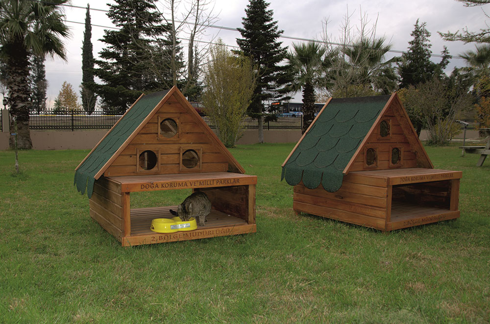 ANADOLIJA/Ministarstvo za šumarstvo i vodoprivredu Republike Turske